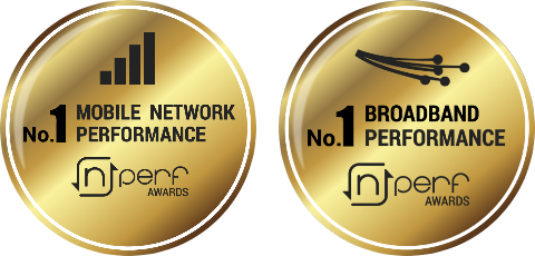 What is a nPerf Award?